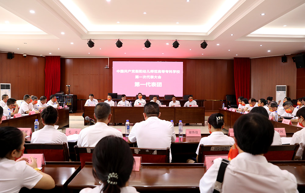 衡陽幼兒師范高等?？茖W校第一次黨代會代表熱議大會工作報告